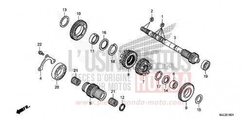 BOITE DE VITESSES (ARBRE SECONDAIRE) (NC700XD/750XD) NC750XDE de 2014